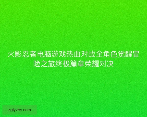 火影忍者电脑游戏热血对战全角色觉醒冒险之旅终极篇章荣耀对决