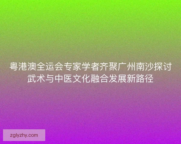 粤港澳全运会专家学者齐聚广州南沙探讨武术与中医文化融合发展新路径